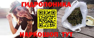 apvp Тверь