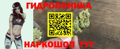apvp Тверь