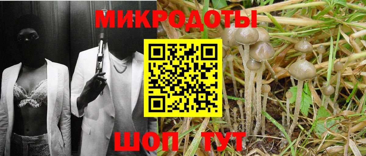 Псилоцибиновые грибы Cubensis  Вход с VPN  где продают наркотики  Воркута 